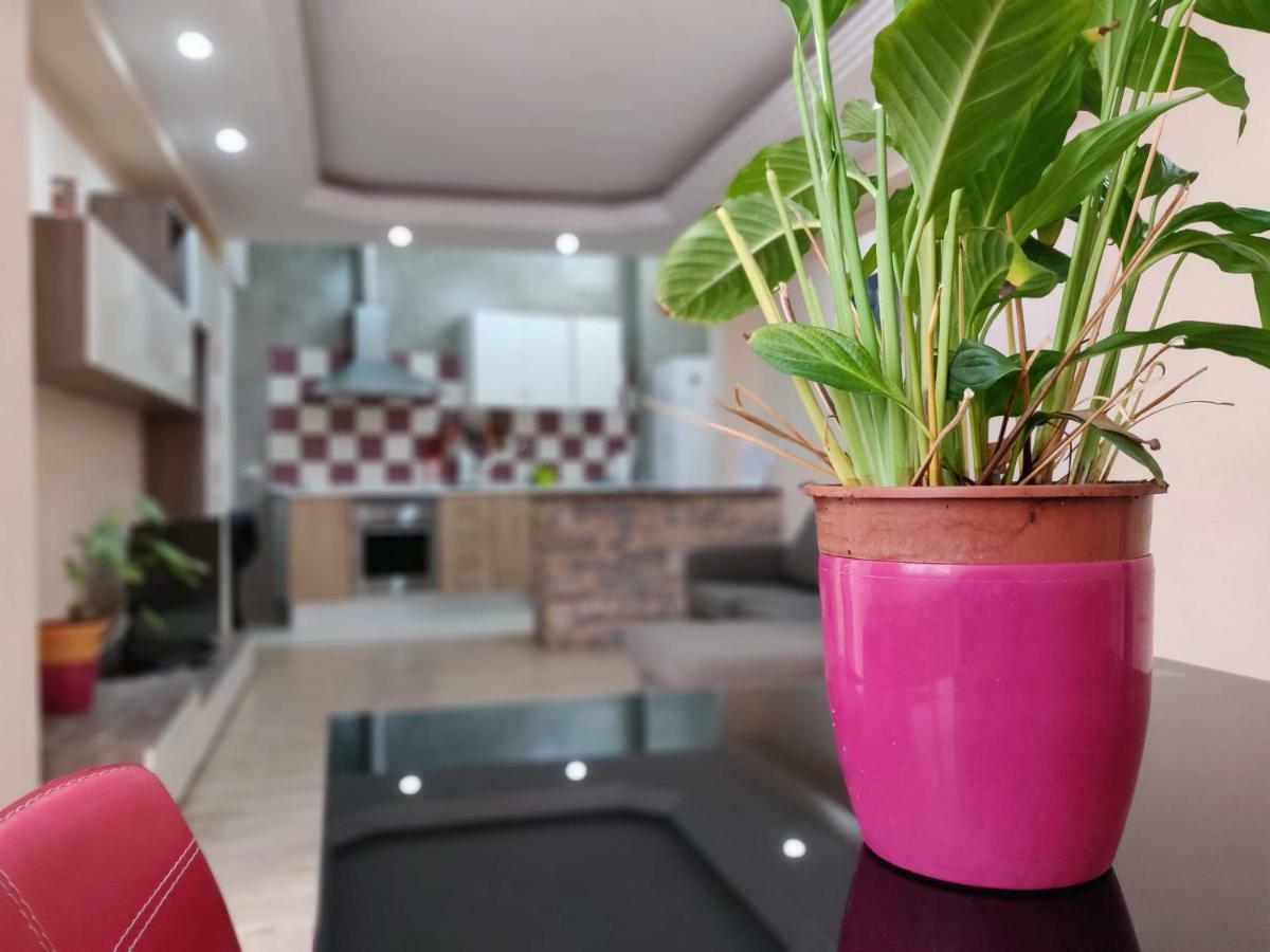 Cactus Los Cristianos Willa Los Cristianos  Zewnętrze zdjęcie